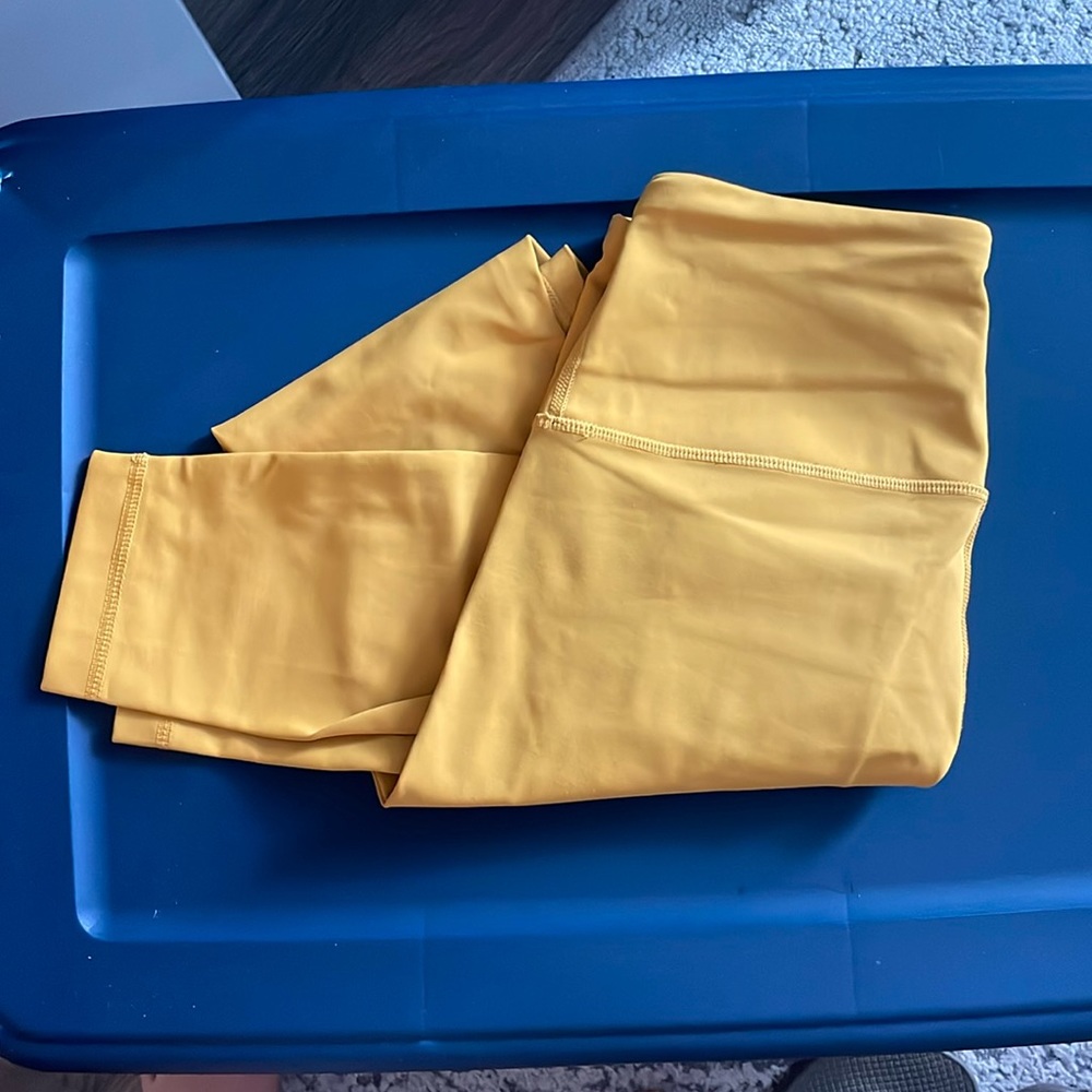 Golden yellow tights
